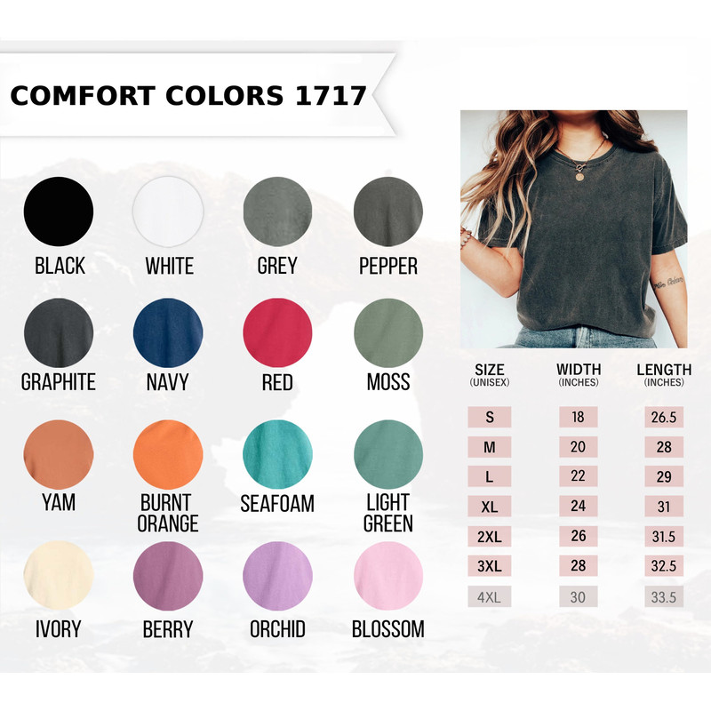 Disney Cinderella Co Comfort Colors® Shirt, Cinderella Princess Shirt, Disney Princess Shirt, Disneyworld Shirt, Disney Girl Shirt - 8.jpg