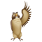 Owl 4.png
