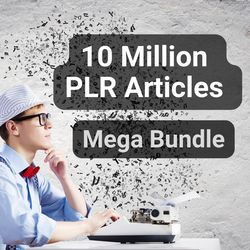 10 Million PLR Articles Bundle PLR MRR Blog Articles Downloads
