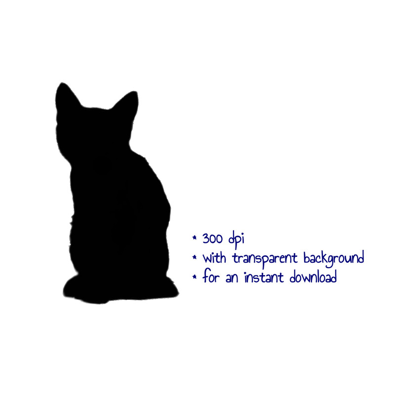 black_kitten_png (1).png