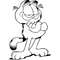Garfield-35.jpg