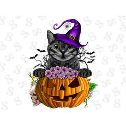 Black Cat Witch Halloween Pumpkin PNG Sublimation Design,Baby Cat With Pumpkin Halloween Png File, Pumpkin Spooky Season