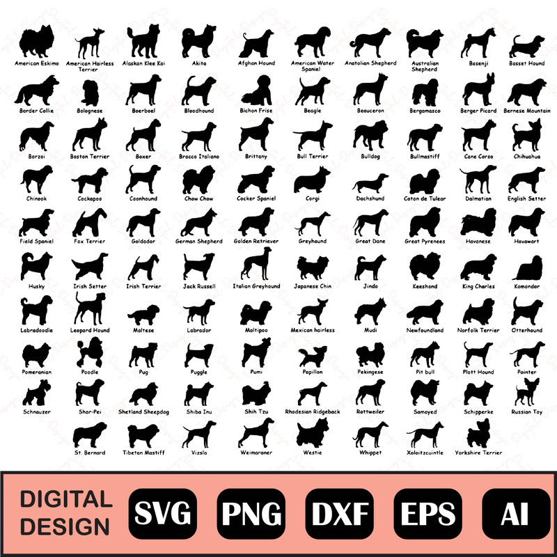 DIGITAL DESIGN-01.jpg