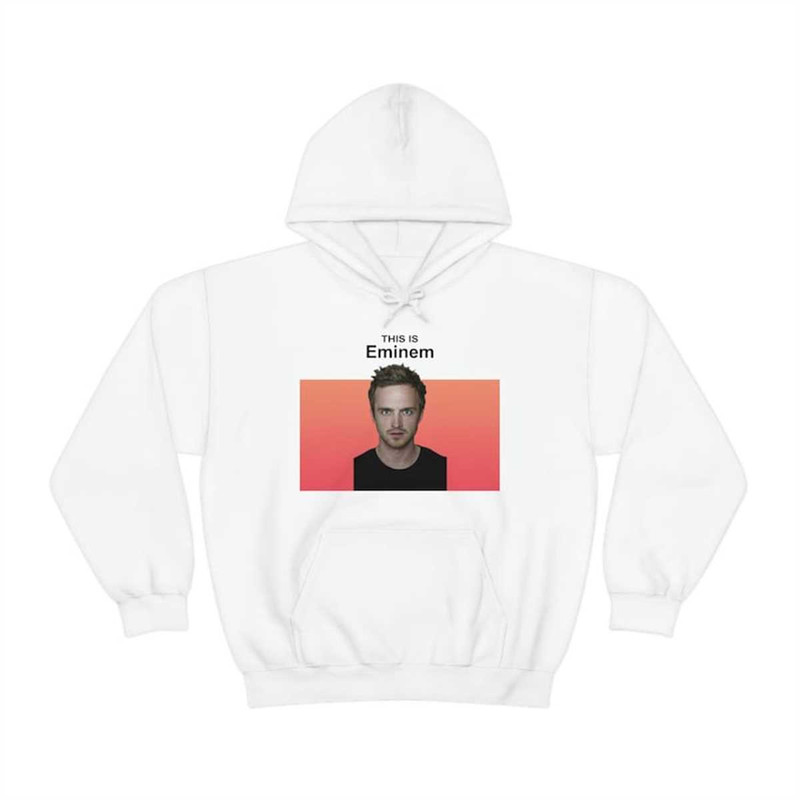 MR-1072023162717-this-is-eminem-jesse-pinkman-funny-meme-hoodie-image-1.jpg
