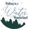walking in a winter wonderland round.jpg