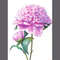 peony.jpg