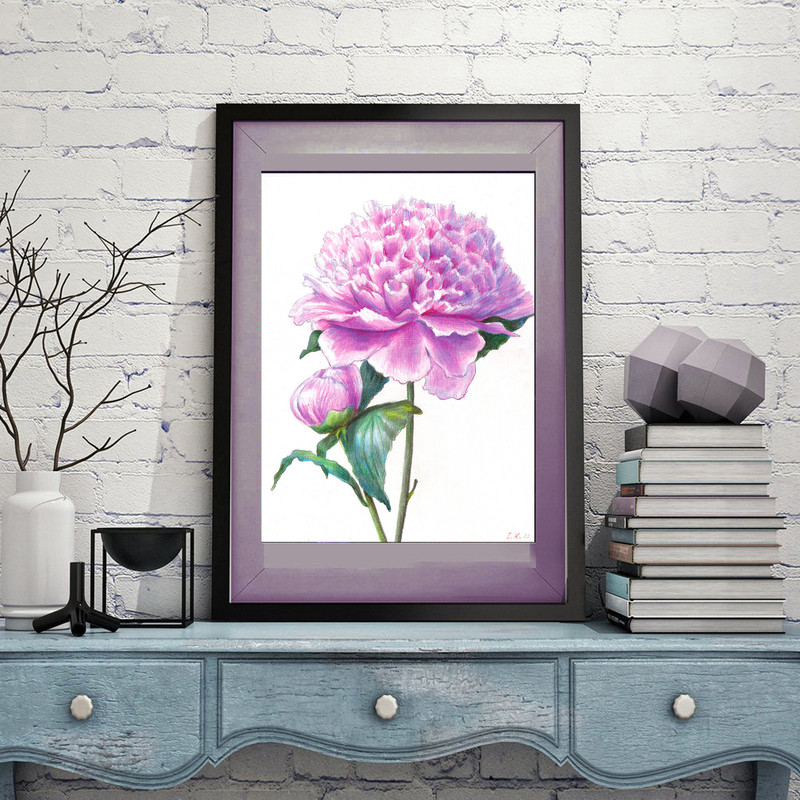 peony 1 frame 2.jpg