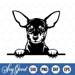 min pin miniature pinscher dog peekaboo svg