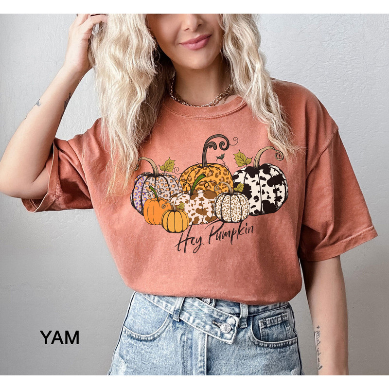 Comfort Colors® hey Pumpkin Shirt, Hello Pumpkin T-Shirt, Hey Pumpkin, Thanksgiving Shirt, Fall T-Shirt, Fall Shirt for Women, Pumpkin Shirt - 1.jpg