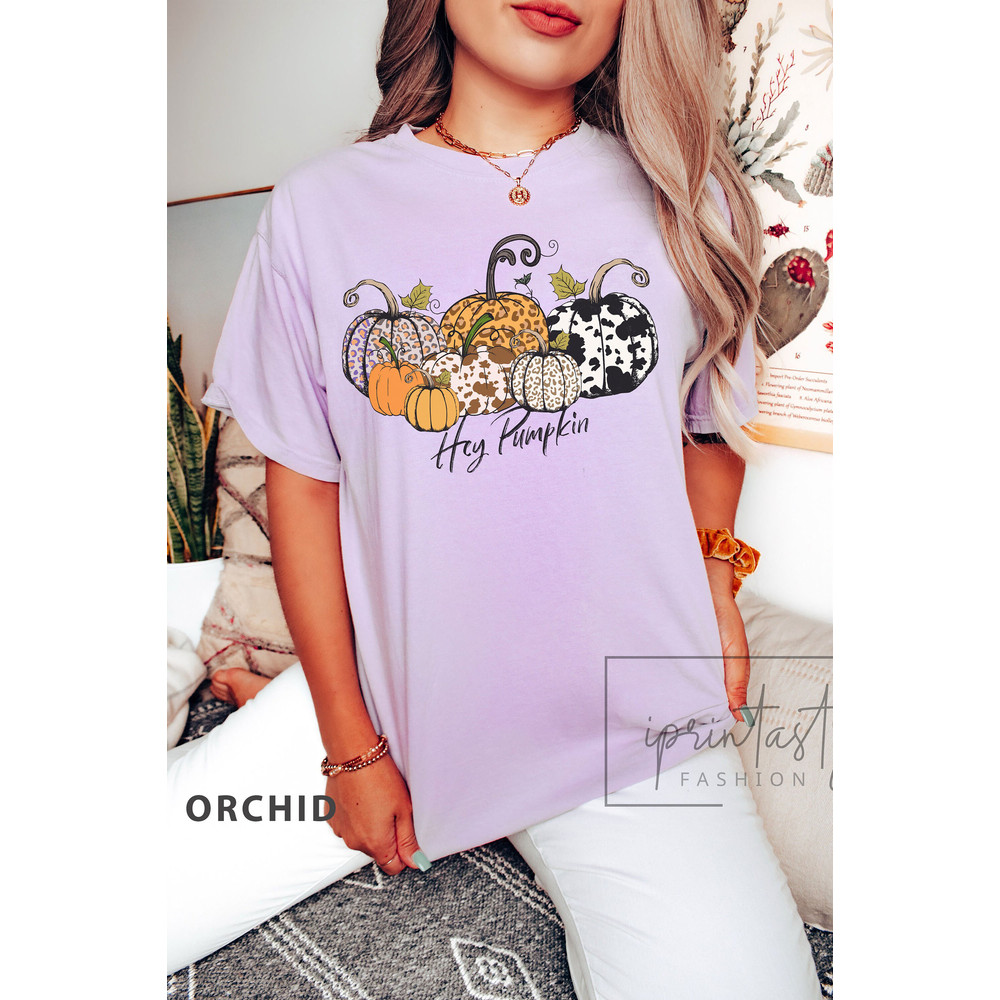 Comfort Colors® hey Pumpkin Shirt, Hello Pumpkin T-Shirt, Hey Pumpkin, Thanksgiving Shirt, Fall T-Shirt, Fall Shirt for Women, Pumpkin Shirt - 2.jpg