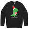 Santasaurus Jumper Sweater Sweatshirt Christmas Xmas Santa Dinosaur T-Rex Kids Childrens Youth Cute Funny Gift - 3.jpg