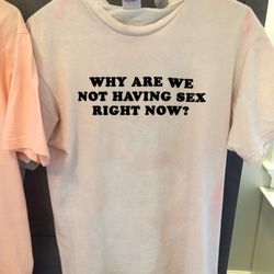 why are we not having sex right now , oversized t-shirt , aesthetic shirt , festival outfit , funny 90s shirt , tumblr c