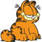 Garfield-11.jpg