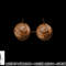 Summer Coconut Bra Halloween Costume Shirt Funny Outfit Gift png, sublimation copy.jpg