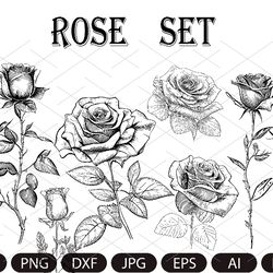 ROSE SVG Bundle, ROSES Svg Bundle, Rose Clipart Bundle, Rose Svg cut files for Cricut, Flowers Svg