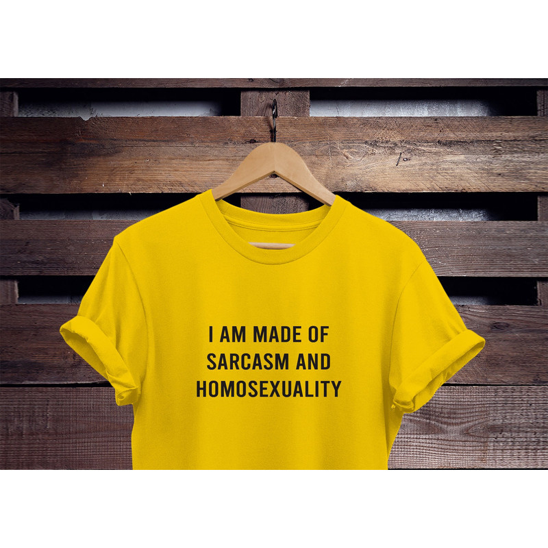 gay shirt HOMO TEE gay tf shirt gay pride shirt Lesbian shirt lgbt shirt bisexual pride shirt lbgt tshirts gay clothing gay tee - 1.jpg