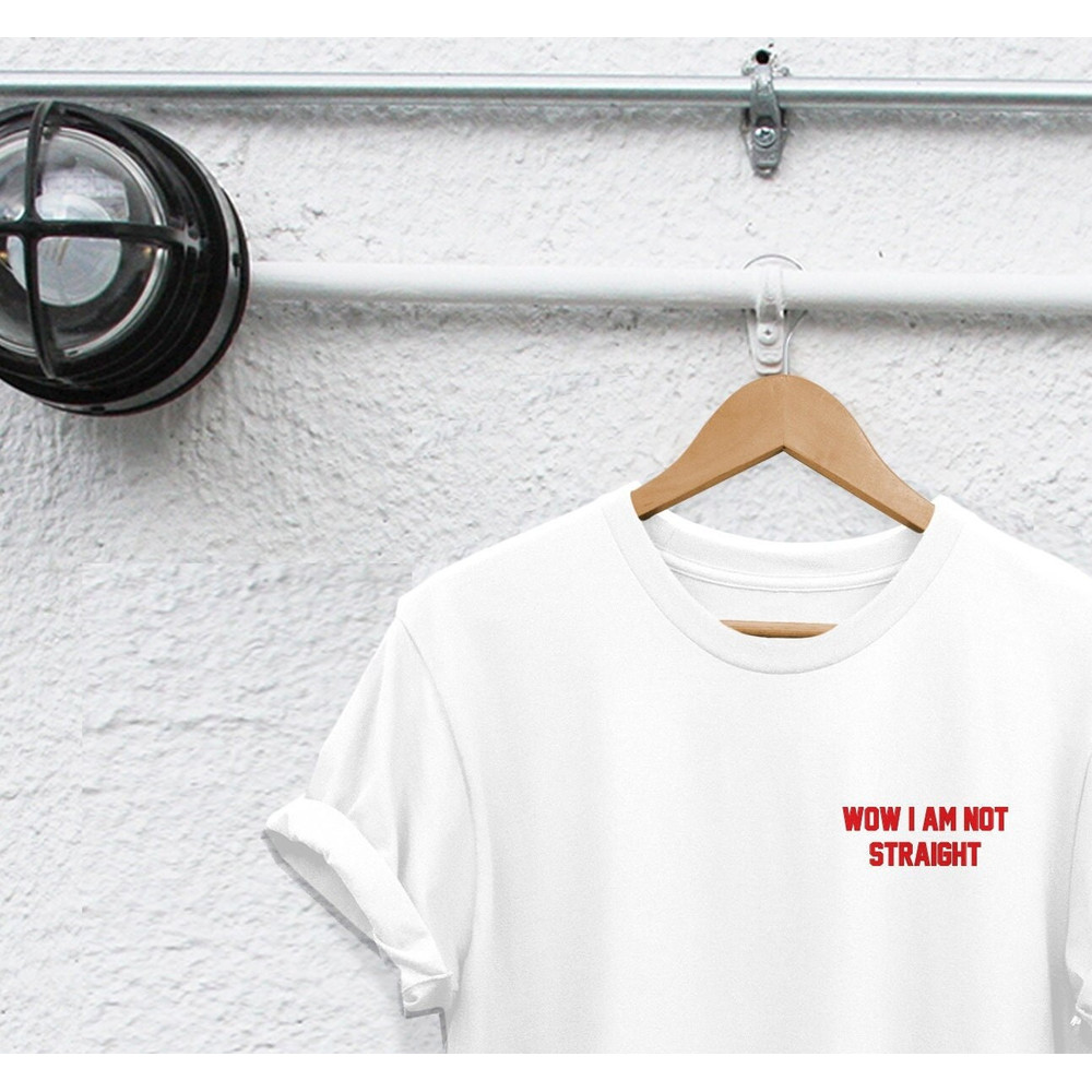 wow i am not straight shirt gay shirt gay pride shirt Lesbian shirt bisexual shirt pride shirt lbgt shirt homophobic shirt lgbt tshirt - 1.jpg