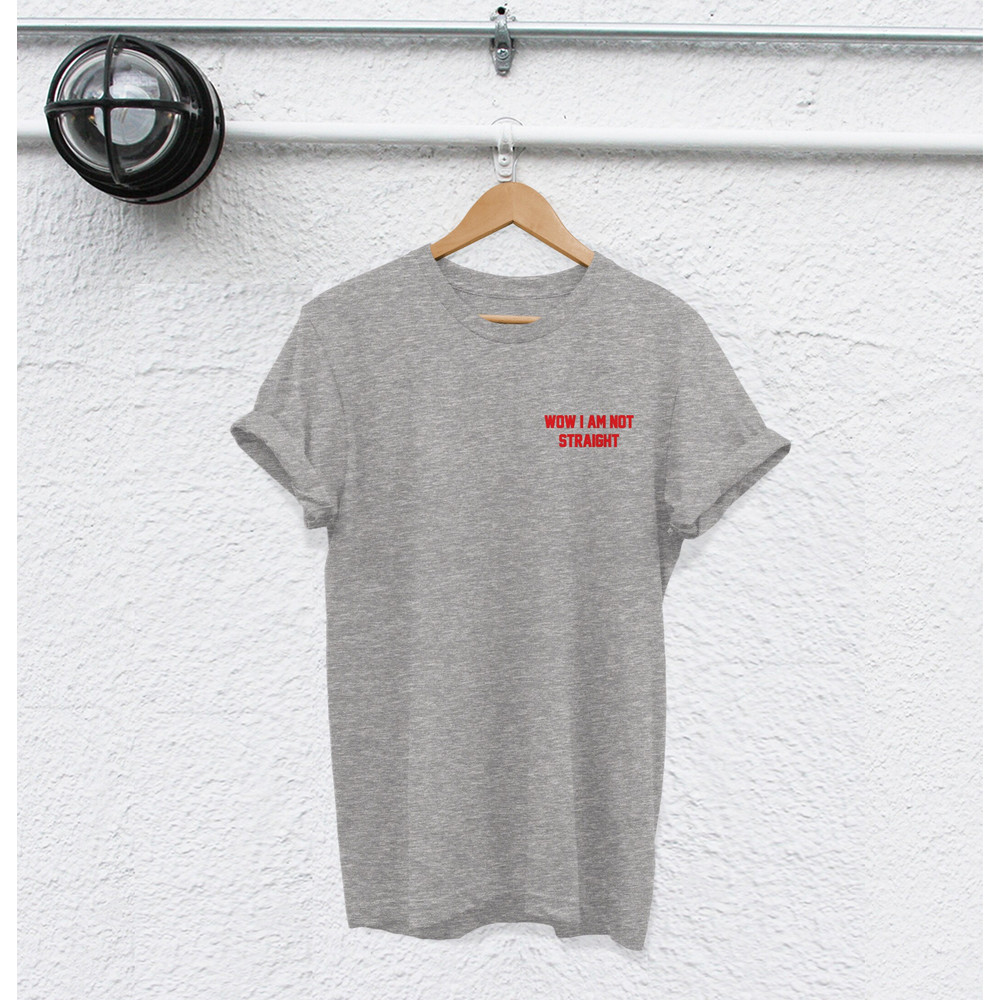 wow i am not straight shirt gay shirt gay pride shirt Lesbian shirt bisexual shirt pride shirt lbgt shirt homophobic shirt lgbt tshirt - 4.jpg