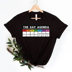 the gay agenda shirt, gay shirt, lgbt shirt, bisexual shirt, lesbian shirt, vintage shirt, lgbt gift, pride rainbow shir