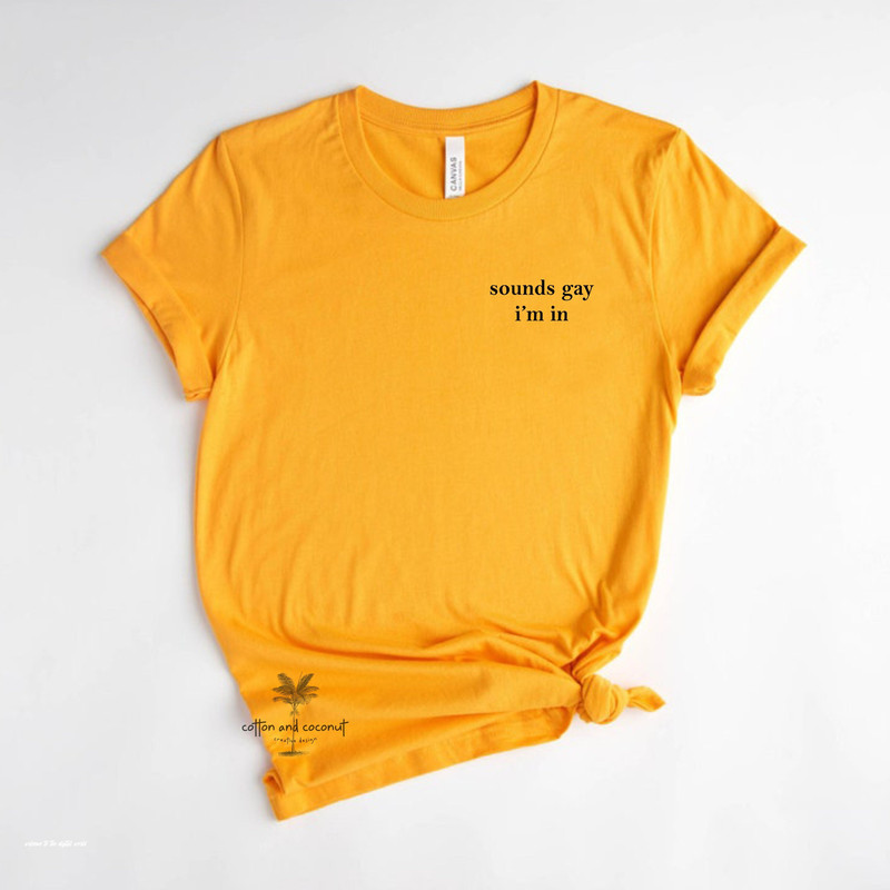 Sounds Gay Im In Shirt Bisexual Shirt Gay Shirt tee cotton Pride Shirt Lbgt Shirts gay pride - 1.jpg