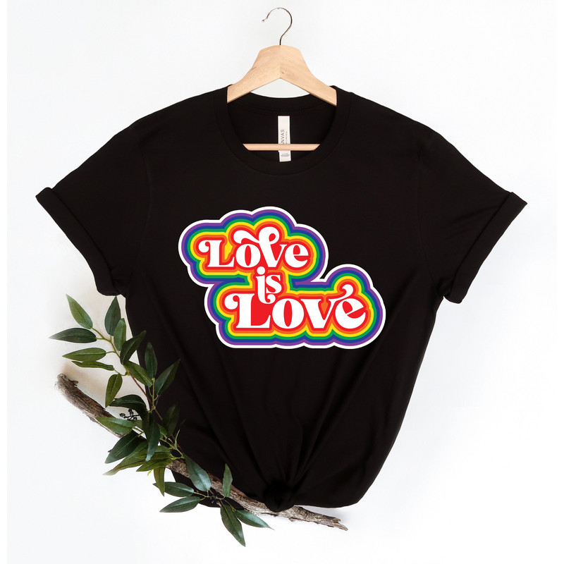Love is Love Shirt, Love is Love Shirt, Rainbow Shirt Retro, LGBT Shirt, Pride Shirt, Equality Shirts, Equality Shirt - 4.jpg