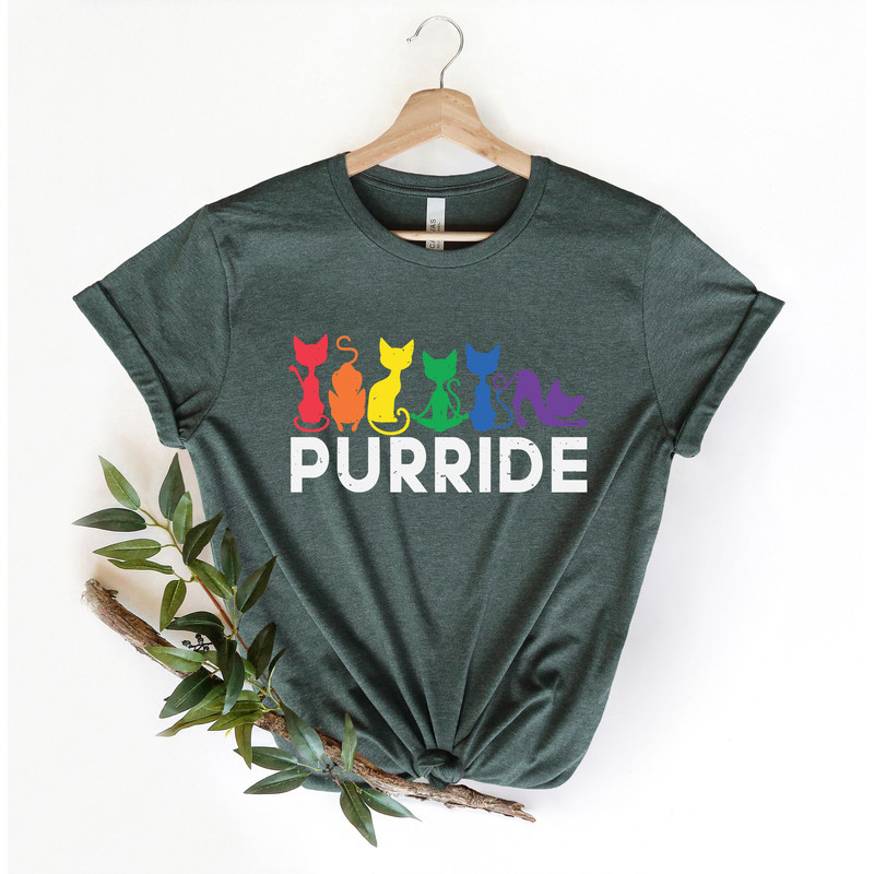 Purride Cat Shirt, LGBT Flag Shirt, Gay Pride Shirt, LGBTQ Shirt, Rainbow Pride Shirt, Cat Lover Gift, Rainbow Cat Shirt, Lesbian Gay Gift - 3.jpg