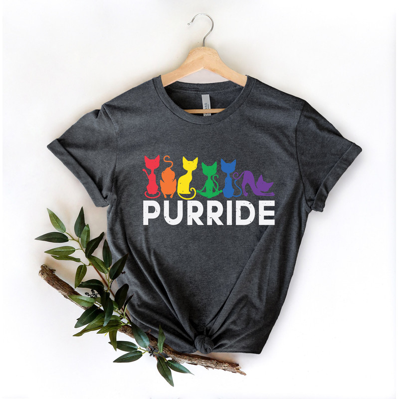 Purride Cat Shirt, LGBT Flag Shirt, Gay Pride Shirt, LGBTQ Shirt, Rainbow Pride Shirt, Cat Lover Gift, Rainbow Cat Shirt, Lesbian Gay Gift - 4.jpg