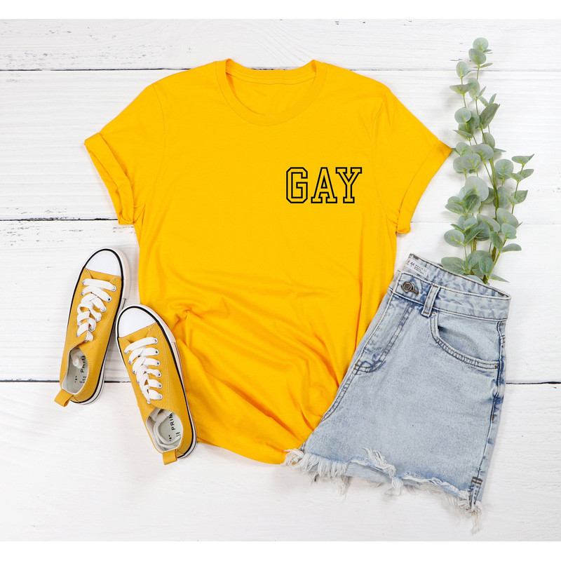 GAY pocket size T Shirt Perfect gift, Pride T shirt, Pride Shirt Unisex T shirt LGBT tee - 1.jpg