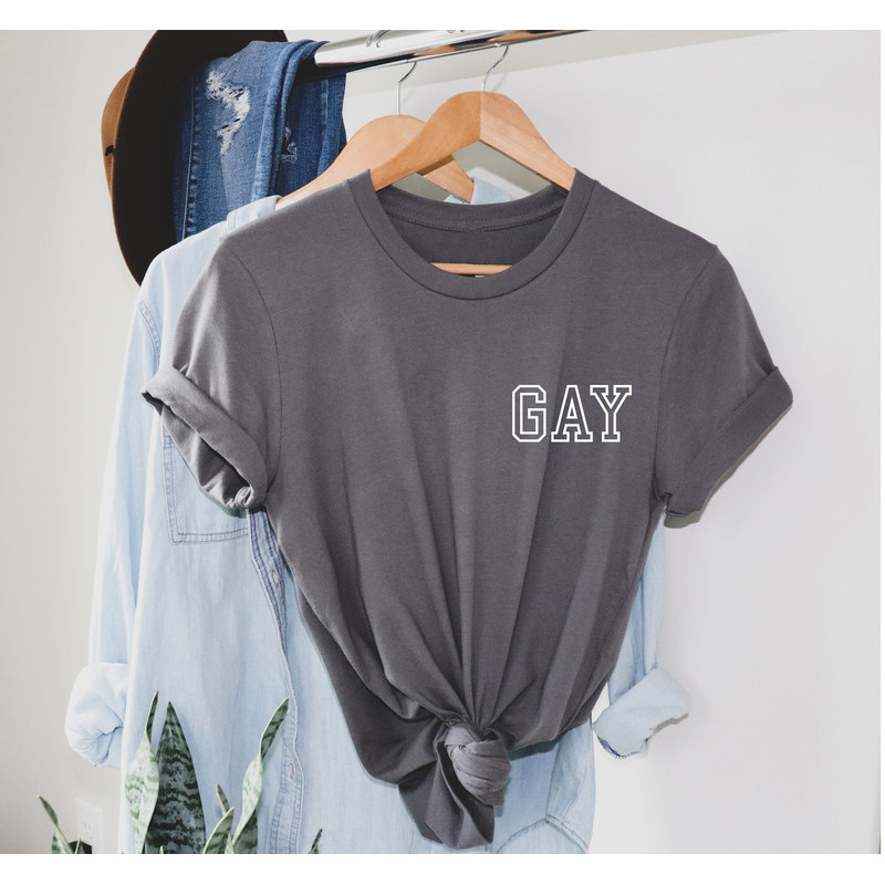 GAY pocket size T Shirt Perfect gift, Pride T shirt, Pride Shirt Unisex T shirt LGBT tee - 4.jpg