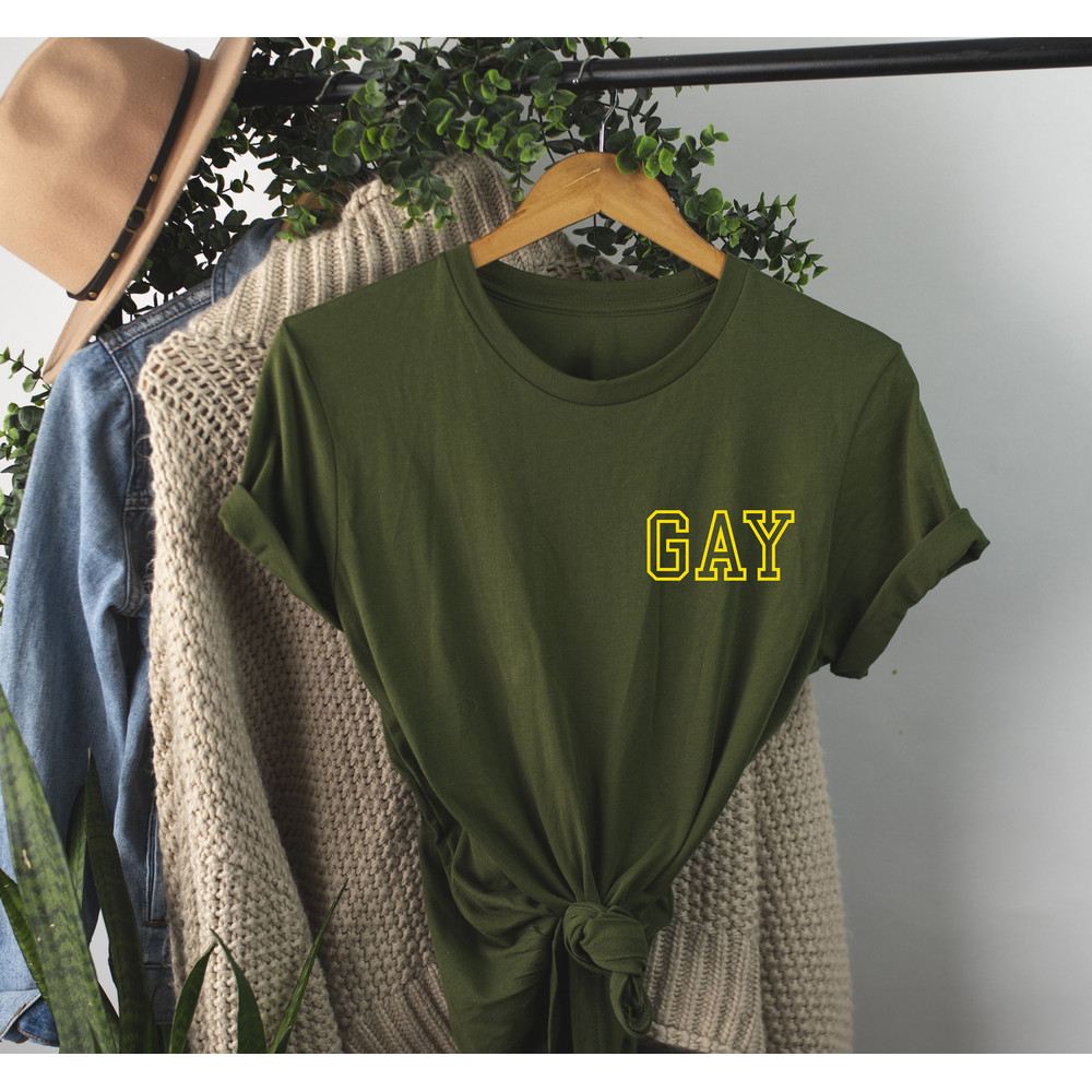 GAY pocket size T Shirt Perfect gift, Pride T shirt, Pride Shirt Unisex T shirt LGBT tee - 5.jpg