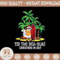 tis the sea sun christmas in july santa holiday beach flamingo surfing summer