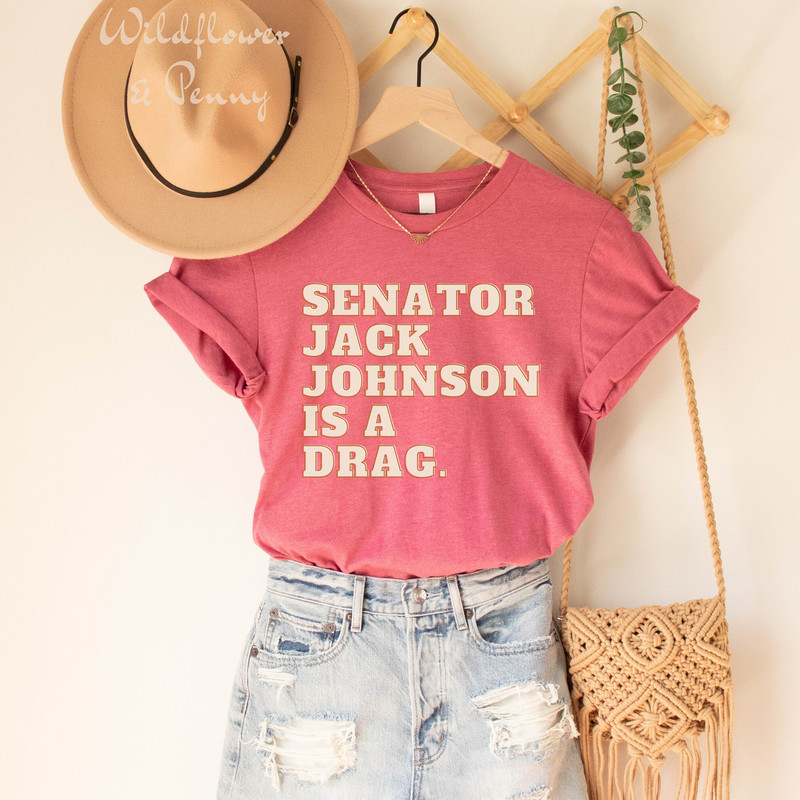 Drag Queen Protest Shirt, Tennessee Drag Ban shirt, Gay Rights tee, LGBTQ Activist shirt, Senator Jack Johnson, Drag Queen Shirt, Activist - 3.jpg