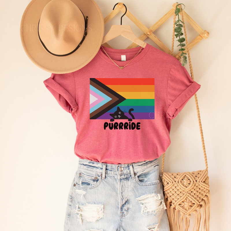 Lgbt Pride T-Shirts, LGBT Shirt, Ally Cat Pride Shirt, Lesbian Shirt, Bisexual Shirt, Gay Shirt, LGBTQA+ flag, Ally Shirt, Pride month flag - 4.jpg