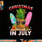 Christmas In July Pineapple Surf Santa Summer Tree png, sublimation copy.jpg