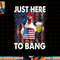 Just here to bang Chicken 4th of July US Flag Firecrackers png, sublimation copy.jpg