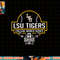 LSU Tigers College World Series 2023 Baseball Purple png, sublimation copy.jpg