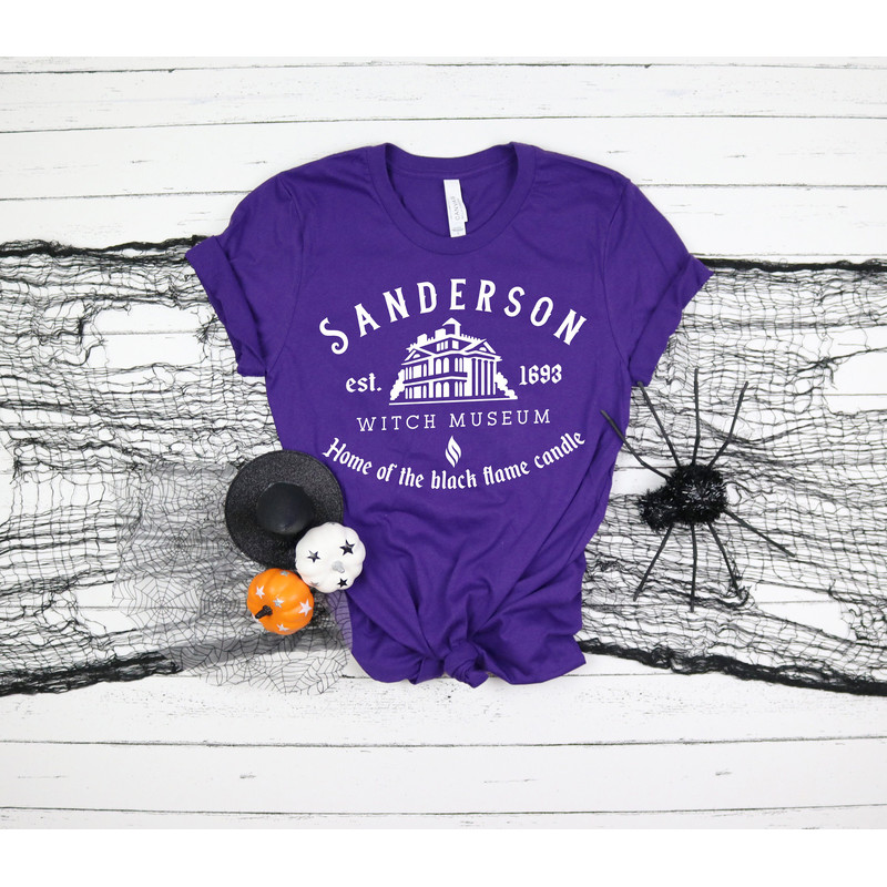 Sanderson Witch Shirts, Halloween Shirts, Hocus Pocus Shirts, Sanderson Sisters , Sanderson Museum, Halloween Outfits,Halloween Funny Shirt - 4.jpg