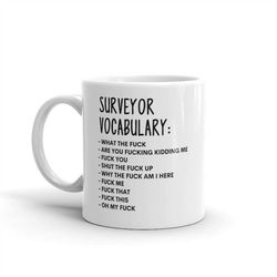 vocabulary at work mug-rude surveyor mug-funny surveyor mugs-surveyor mug-colleague mug,surveyor gift,surprise gift,work