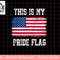 Patriotic American This Is My Pride Flag USA png, sublimation copy.jpg