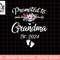 Promoted To Grandma 2024 First Time New Grandma Pregnancy png, sublimation copy.jpg