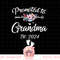 Promoted To Grandma 2024 First Time New Grandma Pregnancy png, sublimation copy.jpg