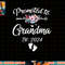 Promoted To Grandma 2024 First Time New Grandma Pregnancy png, sublimation copy.jpg