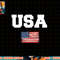 USA Flag Patriotic 4th of July America day of Independence png, sublimation copy.jpg