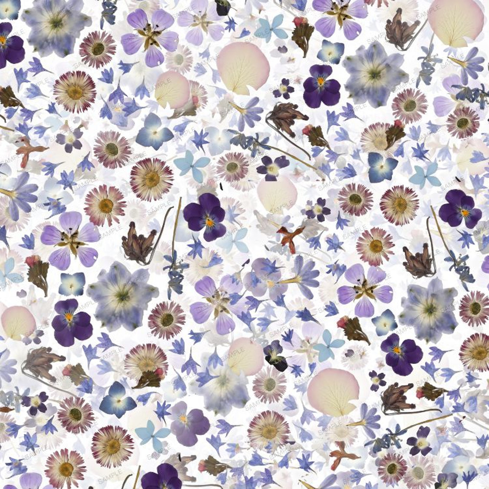 Pressed Flowers 27.jpg