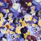 Pressed Purple Fowers.jpg
