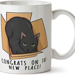 delicious accessories first home housewarming gift funny new homeowner coffee mug with cat in a box 11 oz tea ceramic