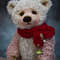 exclusive  teddy bears  (3).JPG