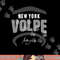 Anthony Volpe New York Baseball Name & Number (Front & Back) png, sublimation copy.jpg