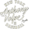 Anthony Volpe New York Baseball Vintage Cursive MLBPA png, sublimation.pngAnthony Volpe New York Baseball Vintage Cursive MLBPA png, sublimation.png