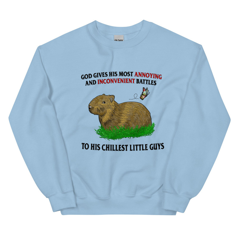 Chillest Little Guy Unisex Sweatshirt (not embroidered) - 2.jpg